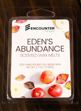 Load image into Gallery viewer, Encounter Today Wax Melts