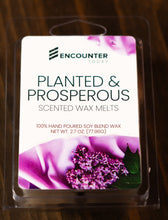 Load image into Gallery viewer, Encounter Today Wax Melts