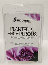 Load image into Gallery viewer, Encounter Today Wax Melts