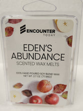 Load image into Gallery viewer, Encounter Today Wax Melts